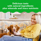 Greenies Pill Pockets for Dogs, Large Size Soft Dog Treats, Peanut Butter Flavor, 15.8 oz. Pouch