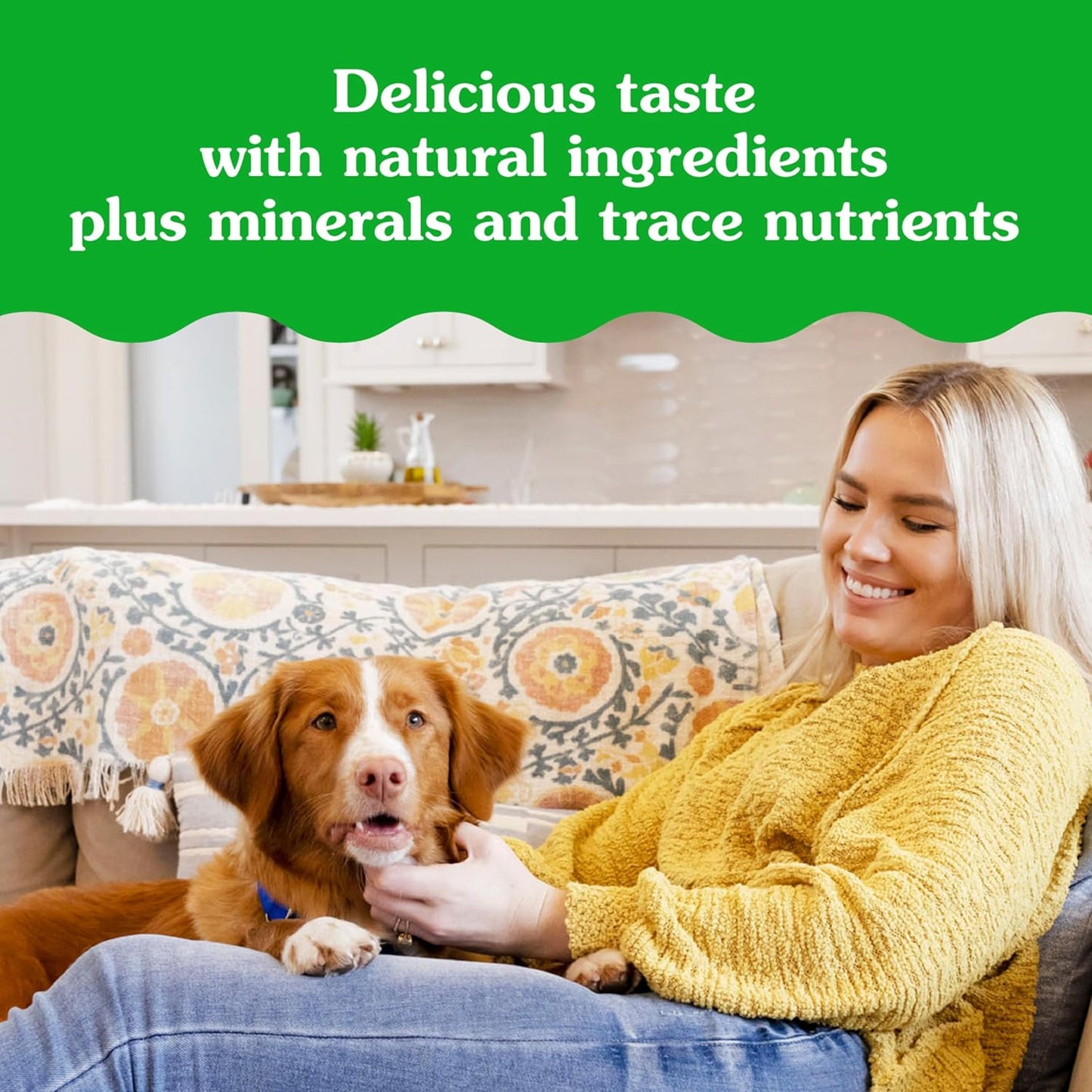 Greenies Pill Pockets for Dogs, Large Size Soft Dog Treats, Peanut Butter Flavor, 15.8 oz. Pouch