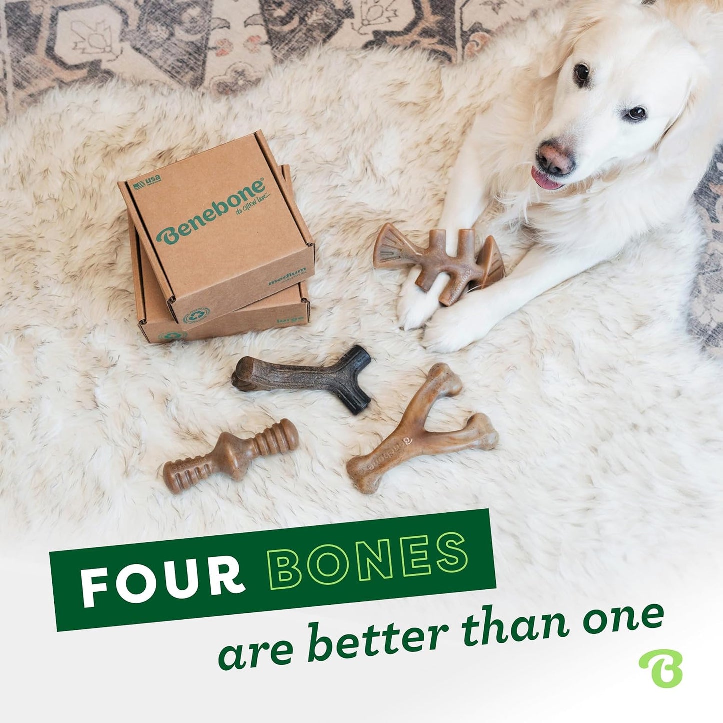 Benebone Medium 4-Pack Dog Toys for Aggressive Chewers – Durable Dog Bones, Made in USA – Dog Toys for Medium Dogs Under 60 lbs