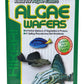 Hikari Usa Inc AHK21328 tropical Algae Wafer 8.8-Ounce