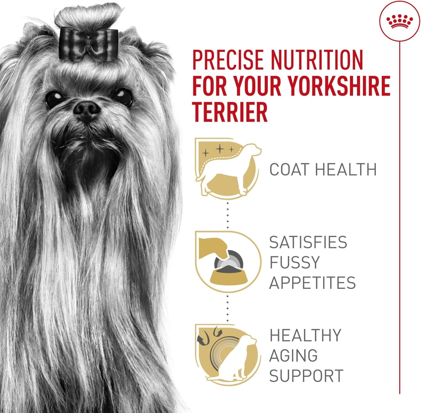 Royal Canin Breed Health Nutrition Yorkshire Terrier Adult Dry Dog Food, 2.5 lb Bag