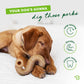 Benebone Tripe Bone Durable Dog Chew Toy for Aggressive Chewers, Real Tripe, Made in USA, Medium