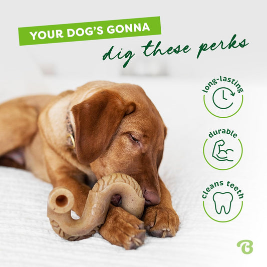 Benebone Tripe Bone Durable Dog Chew Toy for Aggressive Chewers, Real Tripe, Made in USA, Medium