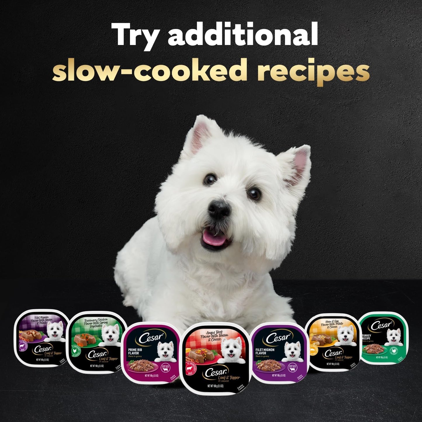 Cesar Loaf in Sauce Wet Dog Food Rotisserie Chicken, Filet Mignon, Angus Beef, and Ham & Egg Flavors Variety Pack, Wet Food for Dogs, 3.5 oz Easy Peel Trays, 24 Count