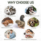 ALL FOR PAWS Classic Squirrel Pet Toys, Small