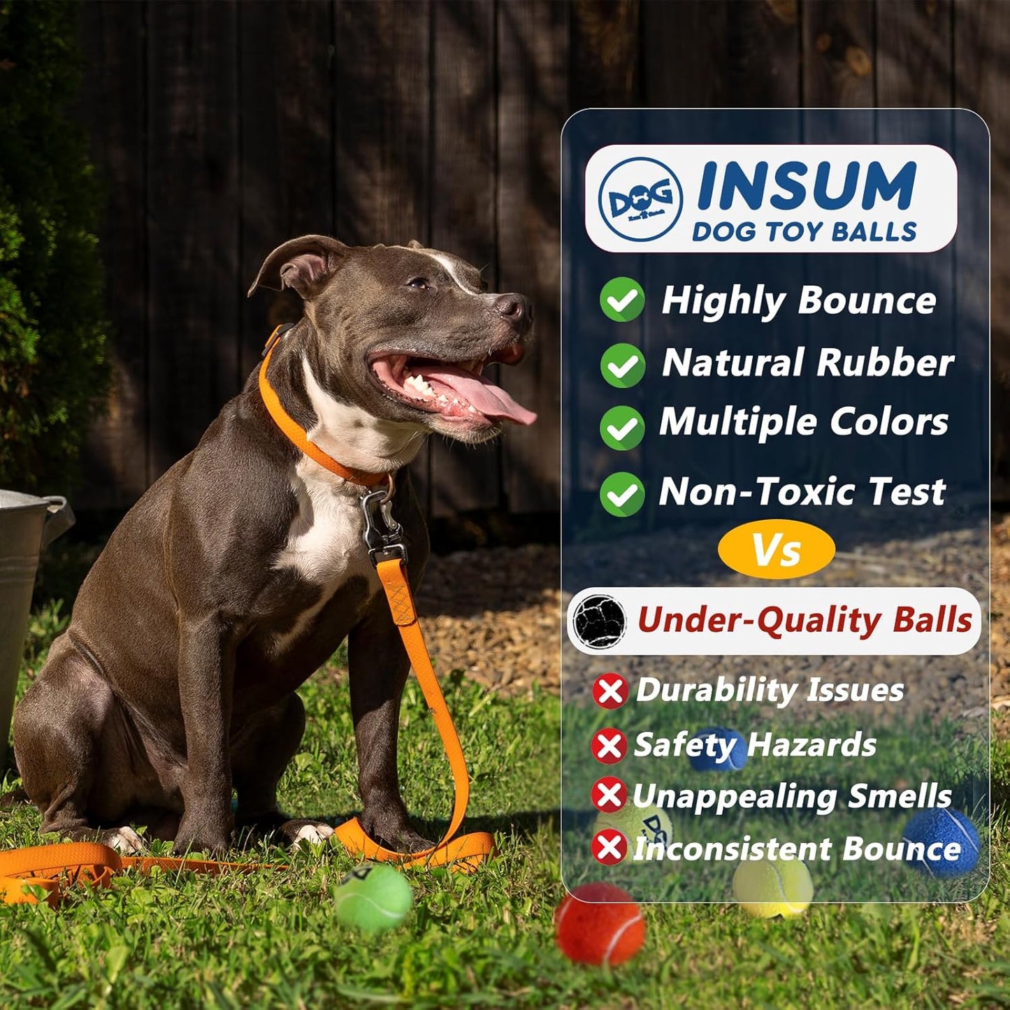 Tennis Balls for Dogs - 12 Pack 2.5'' Durable Non-Toxic Outdoor Dog Toys Balls with Mesh Bag, SGS Certified, Colorful Fetch Toys, Medium Large Breeds (Non Squeaky)