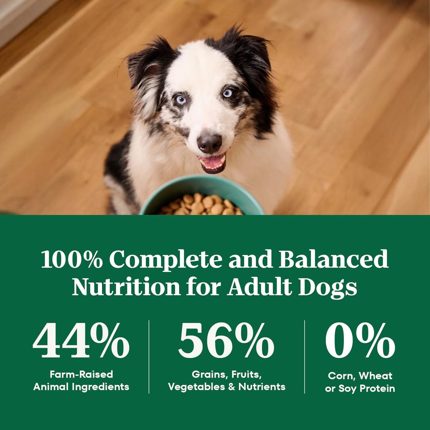 Nutro Natural Choice Adult Dry Dog Food, Chicken & Brown Rice Recipe, 30 lb. Bag