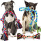 Forfon Tough & Strong Dog Toy for Aggressive Chewers – Tough Chew Toys for Large Dogs, Ideal for Tug-of-War & Teeth Cleaning, with 3 Rope Toys & 2 Dog Bags