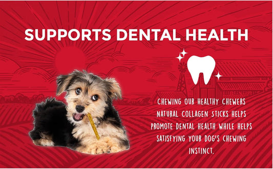Rewardables | Healthy Chewers | Natural Collagen and Beef Sticks for Dogs | 100 Count | High Protein and Limited Ingredient Dog Chews