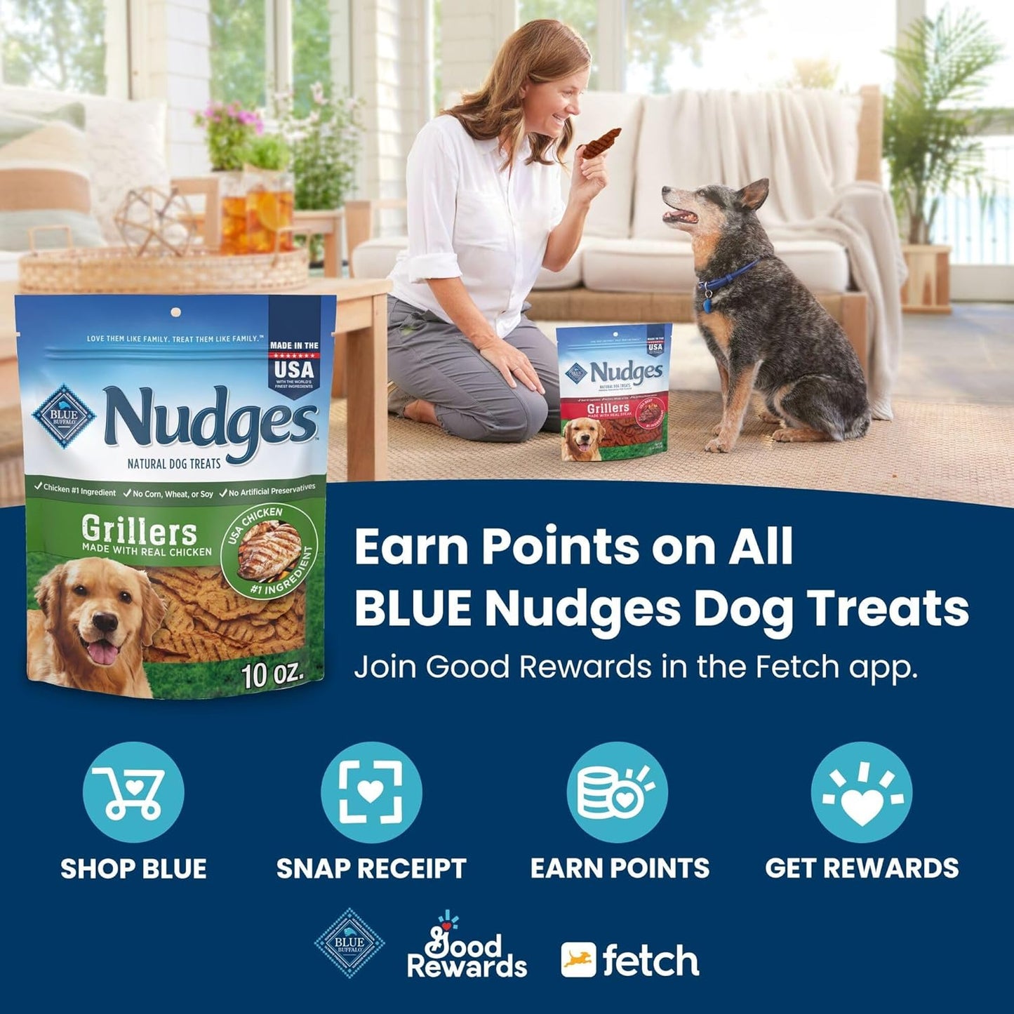 Blue Buffalo Nudges Homestyle Natural Beef and Rice Dog Treats