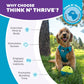 Outward Hound by Nina Ottosson Treat Tumble – Interactive Food-Dispensing Dog Puzzle Ball, Level 1 Beginner, Small, 4.8"