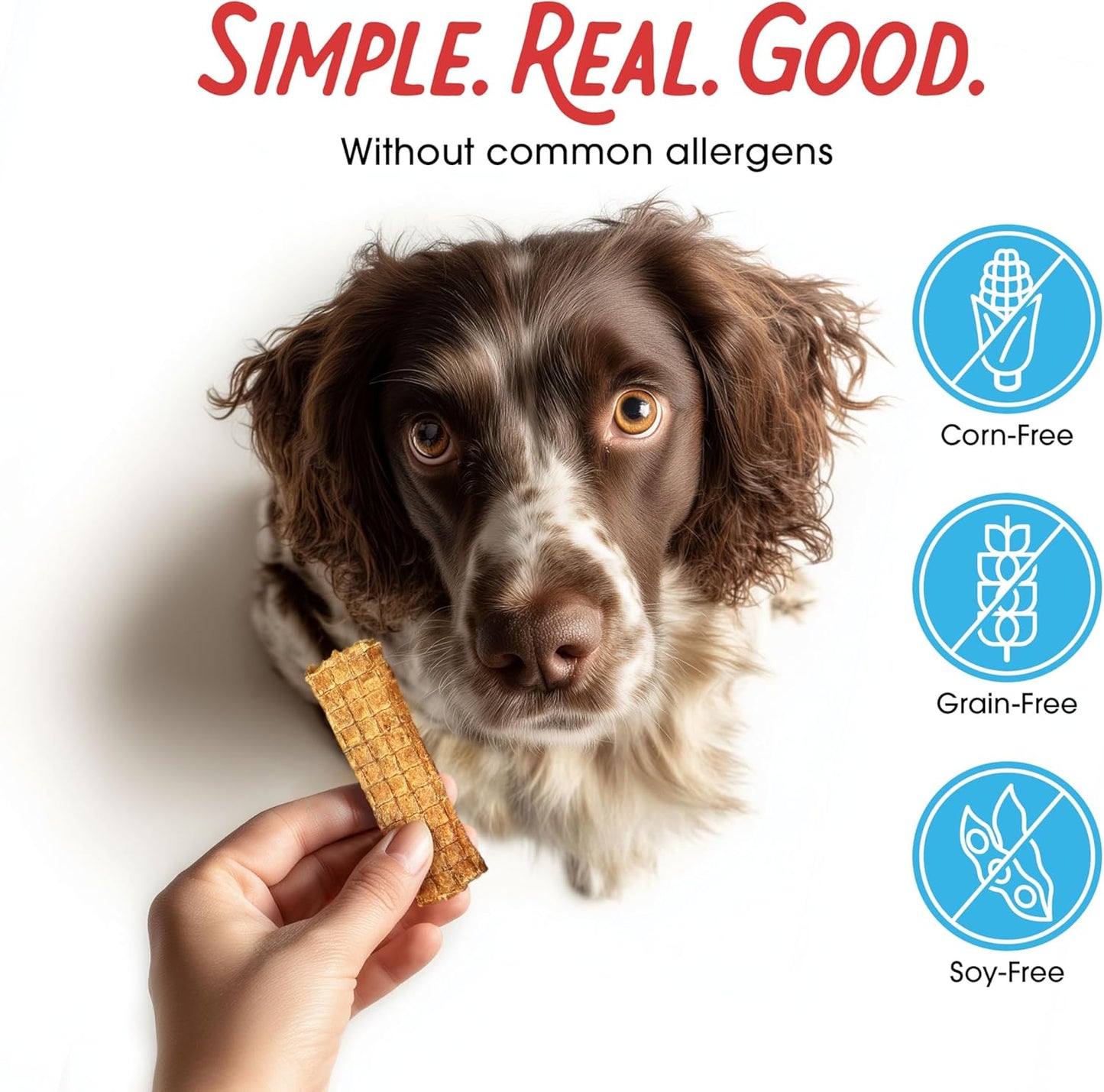 Farmland Traditions Filler Free Dogs Love Chicken Premium Jerky Treats for Dogs, 3 lb. Bag