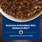 Blue Buffalo Life Protection Formula Senior Dry Dog Food, Supports Joint Health and Mobility, Made with Natural Ingredients, Chicken & Brown Rice Recipe, 5-lb. Bag