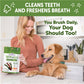 WHIMZEES Wellness Value Box Dog Dental Treats, Large Size, (24 Count)