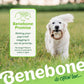 Benebone Ring Durable Dog Chew Toy for Aggressive Chewers, Real Bacon, Made in USA, Large