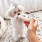 Nylabone New Puppy Starter Kit, Chew Toys & Natural Chew Treat for Puppies, Puppy Enrichment Teething Toys, Blue, Long Lasting Chicken & Bacon Flavor, Small Dogs - Up to 25 Ibs, 3 Pack