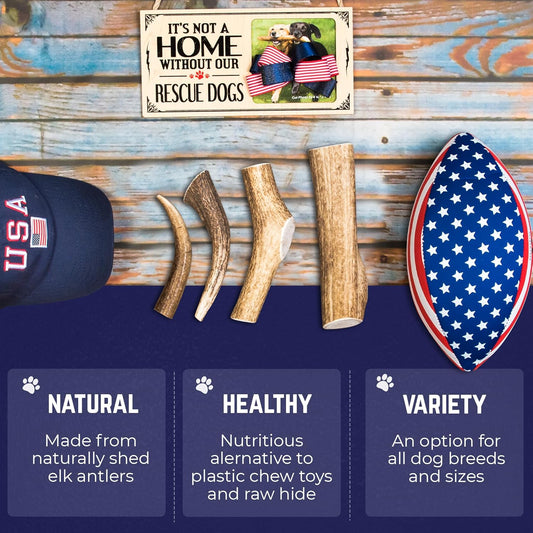 Devil Dog Pet Co. Elk Antlers for Dogs, Medium 5"+, 1 Pack, Grade A Long Lasting Chew for Aggressive Chewers, Premium USA Naturally Shed Antler – Healthy, No Odor, Durable Dog Chew