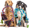 Eefitoys Tough Dog Rope Toys for Aggressive Chewers, Tough Tug of War Dog Toys for Large, Medium & Small Dogs – 5 Pack Including 2 Ropes & 3 Supplies