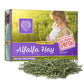 Small Pet Select Alfalfa Hay Pet Food for Young Rabbits, Guinea Pigs, Chinchillas, Tortoises and Other Small Animals, Easy to Store Box, 10 LB