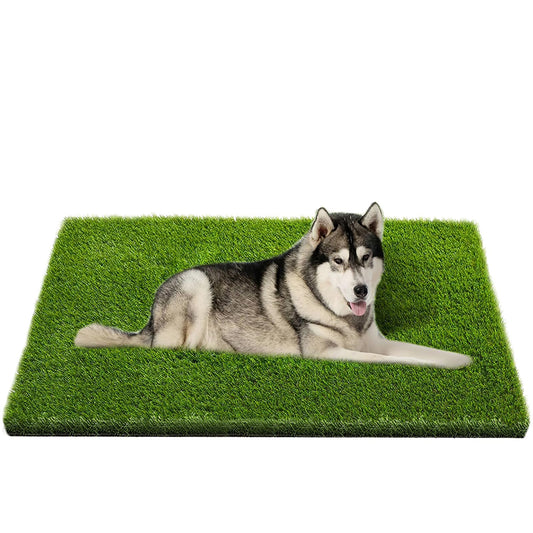 CooZero Artificial Grass, 47.3"x31.5" Professional Dog Grass Mat, Potty Training Rug and Replacement Turf Outdoor Rug Patio Lawn Decoration, Easy to