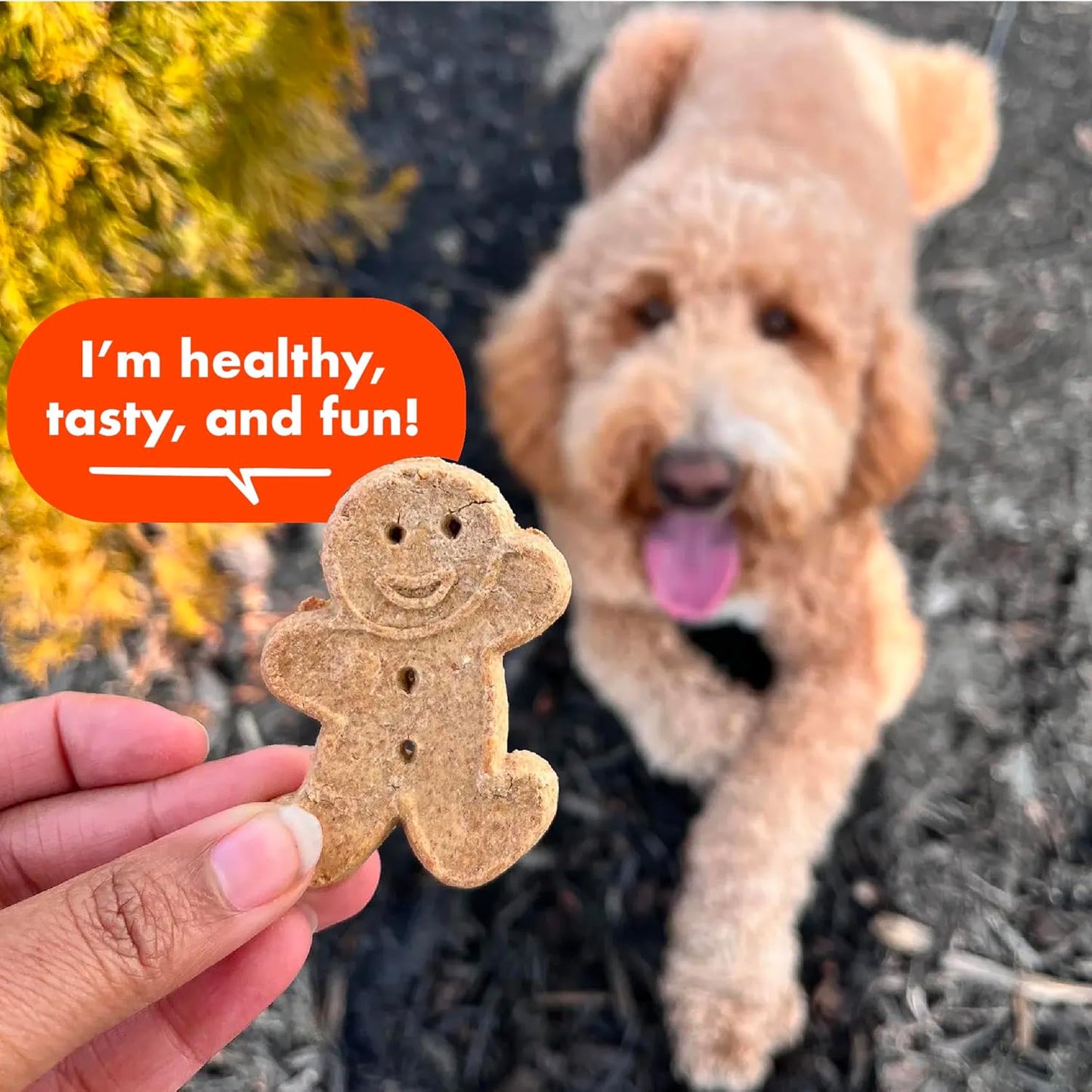Buddy Biscuit 3.5 lbs. Bag of Crunchy Dog Treats Made with Natural Peanut Butter