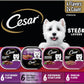 Cesar Wet Dog Food Steak Lovers Variety Pack, Adult, Wet Food for Dogs with Real Meat, 3.5 oz Easy Peel Trays, 24 Count