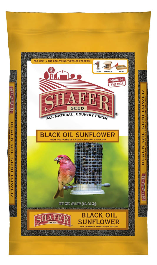 51041 40-Pound Bag, Black Oil Sunflower Wild Bird Food