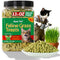 Just Try Cat Treats for Indoor Cats Hairball Control Natural Salmon Healthy Cat Grass Treats Kitten Snacks Training Biscuits Catnip for Cats Dental Care 13.4 OZ