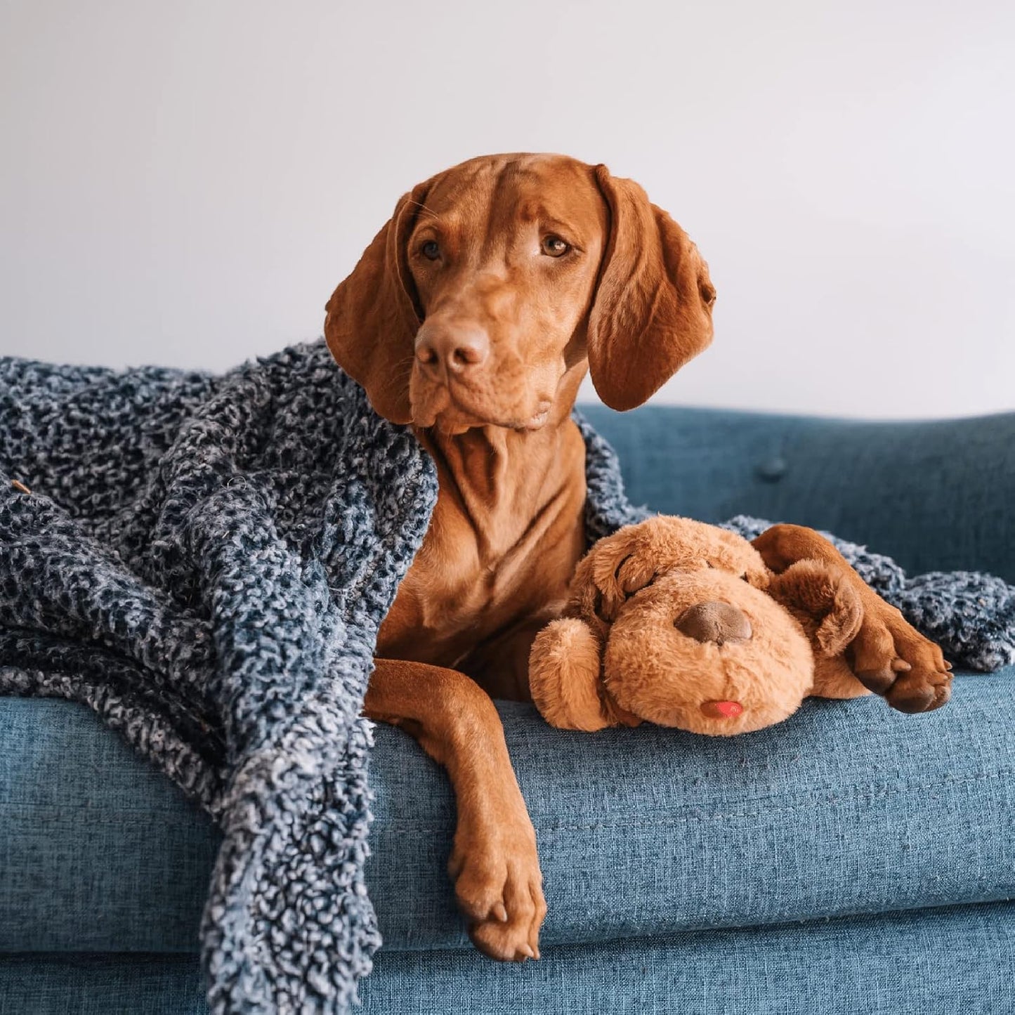 Original Snuggle Puppy Heartbeat Puppy Toy - Heartbeat Puppy for Dogs - Pet Anxiety Relief and Calming Aid - Comfort Dog Toy - Behavioral Training and Sleep Aid Cuddle buddy - Crate Training Essential