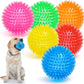 VITEVER 3.5” Squeaky Dog Toy Balls (6 Colors) Puppy Chew Toys for Teething, BPA Free Non-Toxic, Spikey Dog Balls for Medium, Large & Small Dogs, Durable Toys for Aggressive Chewers