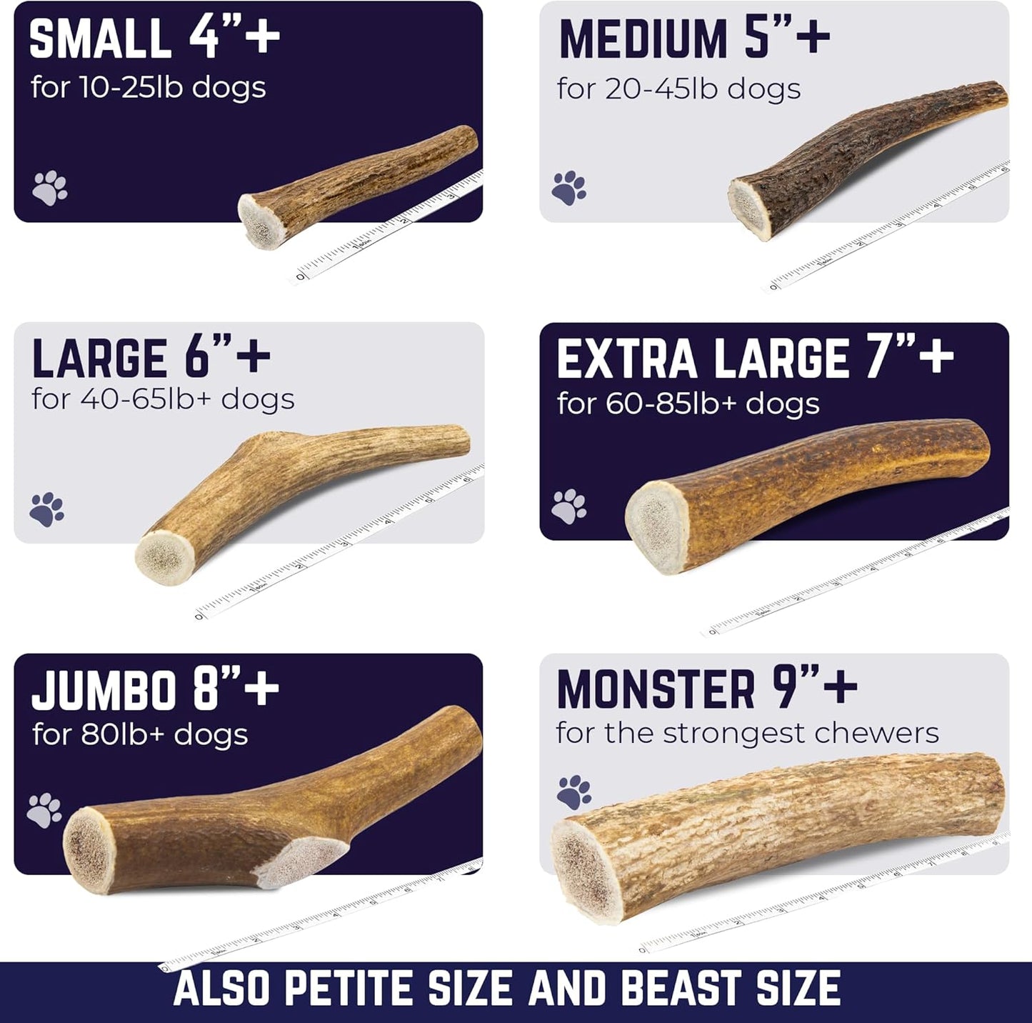 Devil Dog Pet Co. Elk Antlers for Dogs, Medium 5"+, 1 Pack, Grade A Long Lasting Chew for Aggressive Chewers, Premium USA Naturally Shed Antler – Healthy, No Odor, Durable Dog Chew