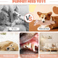 BUYPOW No Stuffing Dog Toys for Large Dogs, 5 Pack Squeaky Crinkle Interactive Dog Animals, Plush Teething Toys to Keep Them Busy, Cute Funny Dogs Gifts for Small Medium Large Breed