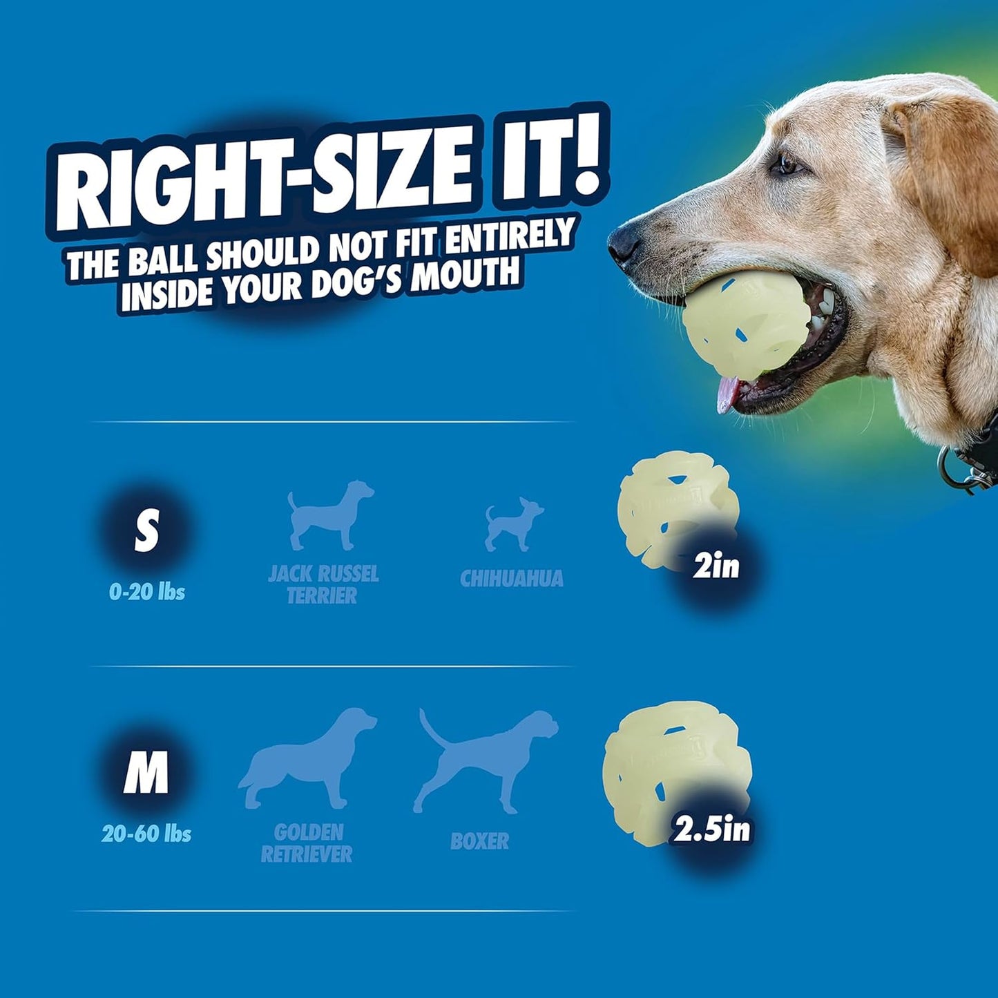 Chuckit! Air Glow Fetch Ball Dog Toy, Medium (2.5 Inch) Pack of 2, for Breeds 20-60 lbs