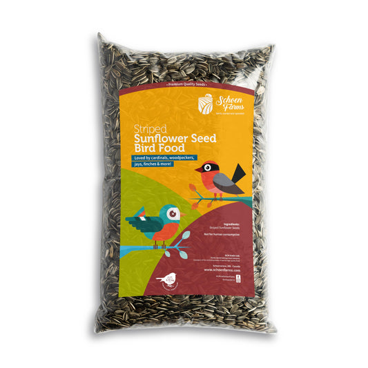 Schoen Farms Striped Sunflower Seeds – Hulled Wild Bird Food – 6 lb Bag – Premium Bird Seed for Cardinals, Jays & Finches