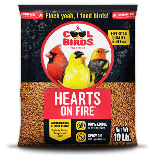 Hearts on Fire Hot Bird Seed – 10 lb. 100% Hulled Sunflower Hearts with Chili Pepper Oil – No Waste Bird Seed for Outside Feeders