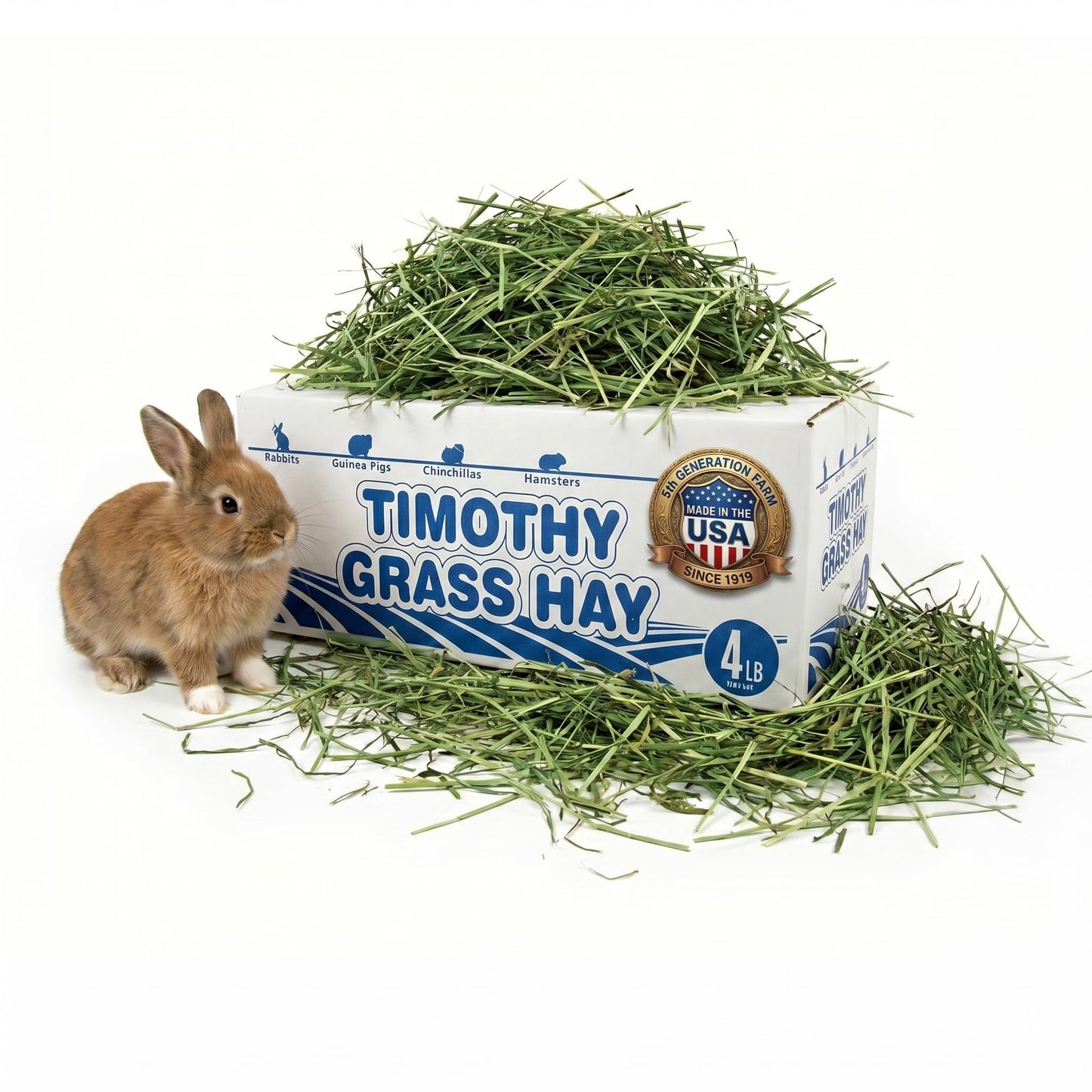 High Desert 2nd Cutting Timothy Hay for Rabbits, Guinea Pigs, Chinchillas and Small Pets, Soft Leafy for Daily Feeding and Digestive Health, Natural Rabbit Food and Guinea Pig Hay for Hay, 4 Lb Box