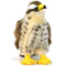 TigerHart Percival the Peregrine Falcon | 10 Inch Hawk Stuffed Animal Plush Bird Toys