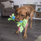 goDog Bubble Plush Skinny Dragons Squeaky Plush Dog Toy, Chew Guard Technology - Green, Large