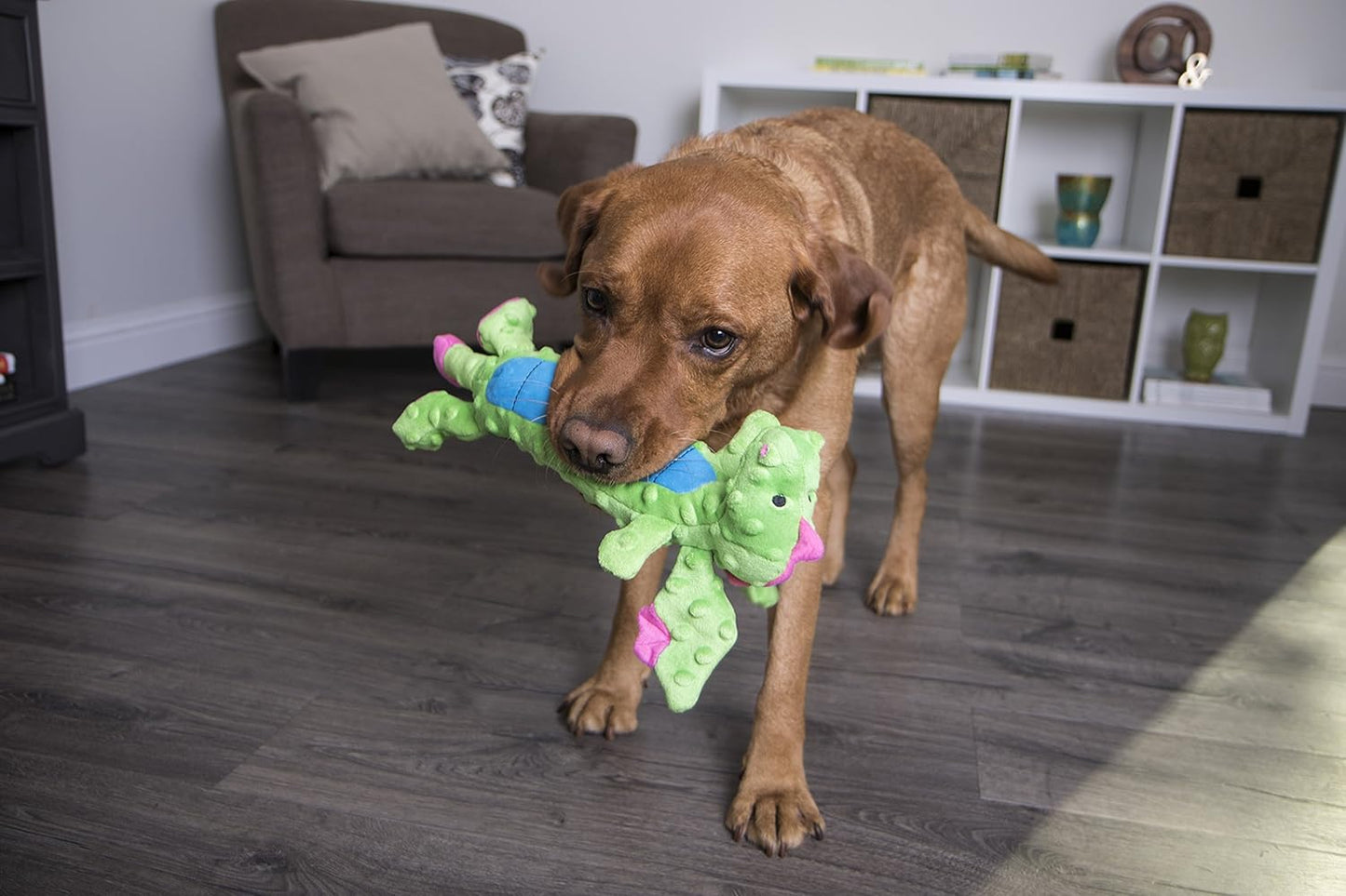 goDog Bubble Plush Skinny Dragons Squeaky Plush Dog Toy, Chew Guard Technology - Green, Large