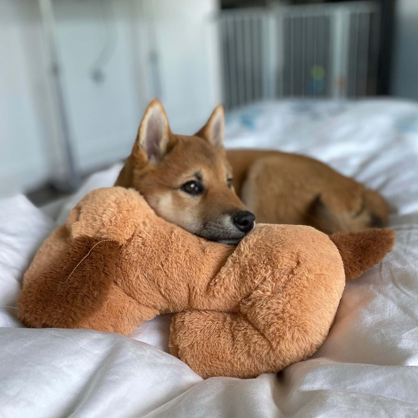 Original Snuggle Puppy Heartbeat Puppy Toy - Heartbeat Puppy for Dogs - Pet Anxiety Relief and Calming Aid - Comfort Dog Toy - Behavioral Training and Sleep Aid Cuddle buddy - Crate Training Essential