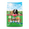 Kaytee Fiesta Guinea Pig Food, Nutritious and Fun Blend, Supports Dental Health and Digestion, 2.5 pounds