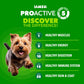IAMS Proactive Health Small Breed Adult Dry Dog Food Chicken & Whole Grain Recipe, 7 lb. Bag