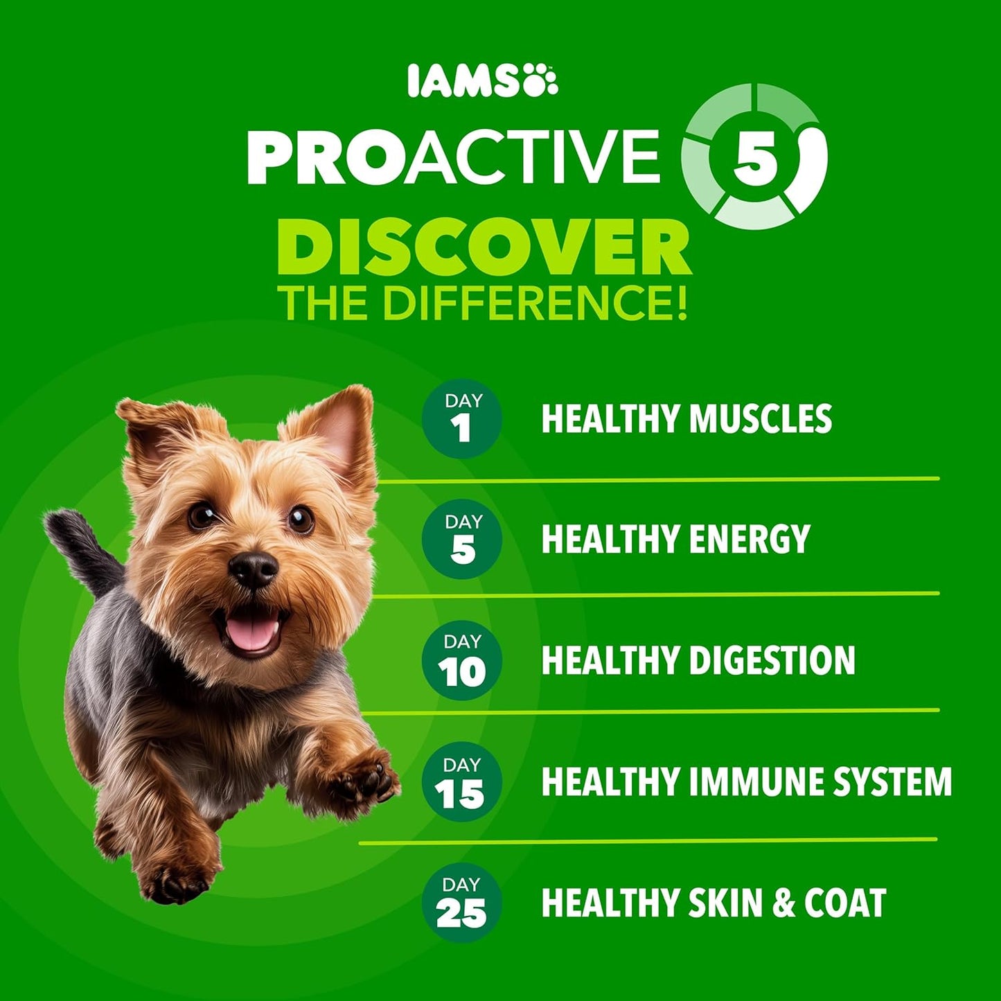 IAMS Proactive Health Small Breed Adult Dry Dog Food Chicken & Whole Grain Recipe, 7 lb. Bag