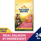 Nature’s Recipe Grain Free Dry Dog Food Salmon, Sweet Potato & Pumpkin Recipe, 24 lb. Bag