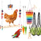 8PCS Chicken Toys for Coop Accessories, Chicken Swing, Xylophone, Mirror, Vegetable Hanging Feeder, Fruit Rack for Poultry Rooster Large Bird Parrot Lovers’ Entertainment Gift