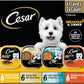 Cesar Home Delights & Classic Loaf in Sauce Adult Wet Dog Food, Breakfast & Dinner Variety Pack, Wet Food for Dogs, 3.5 oz Tray, 24 Count