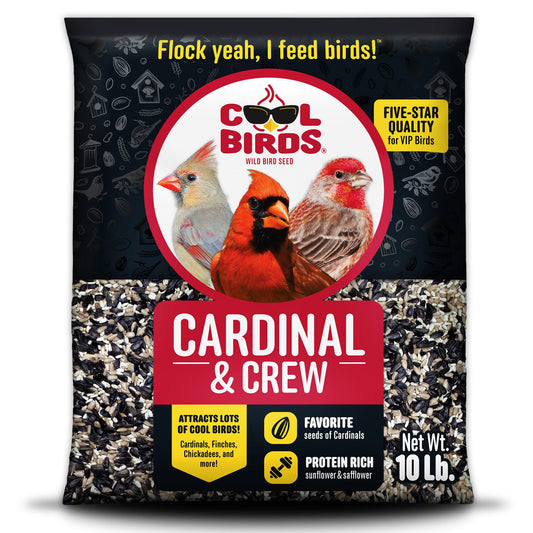 Cardinal & Crew Wild Bird Seed – 10 lb. Black Oil Sunflower, Sunflower Hearts & Safflower Blend for Cardinals, Grosbeaks & Chickadees – Bird Food for Outside Feeders
