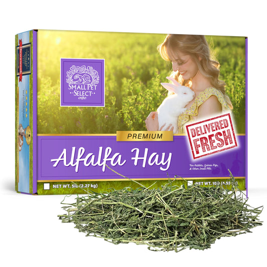 Small Pet Select Alfalfa Hay Pet Food for Young Rabbits, Guinea Pigs, Chinchillas, Tortoises and Other Small Animals, Easy to Store Box, 5 LB