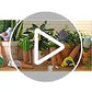 4 Pack Self Watering Bird Shaped Globes, Terracotta Vacation Planters Devices with Slow Release Automatic Watering Spikes, Plant Watering Pots for Indoor and Outdoor Potted Plant