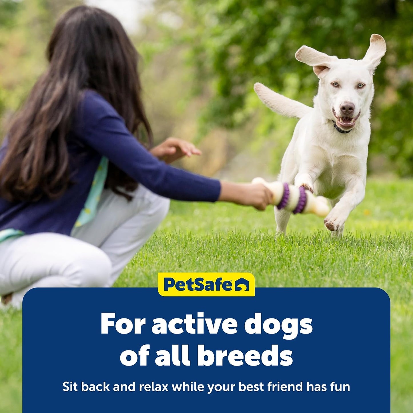 PetSafe Busy Buddy Natural Rawhide Rings - Long-Lasting Chew Refills - Quality Ingredients - Peanut Butter & Original Rawhide Flavored Treat Rings - Size C - 24-Pack